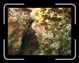 Tortola 250 * 2048 x 1536 * (1.81MB)